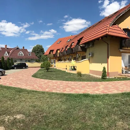 Pitypang Gyula